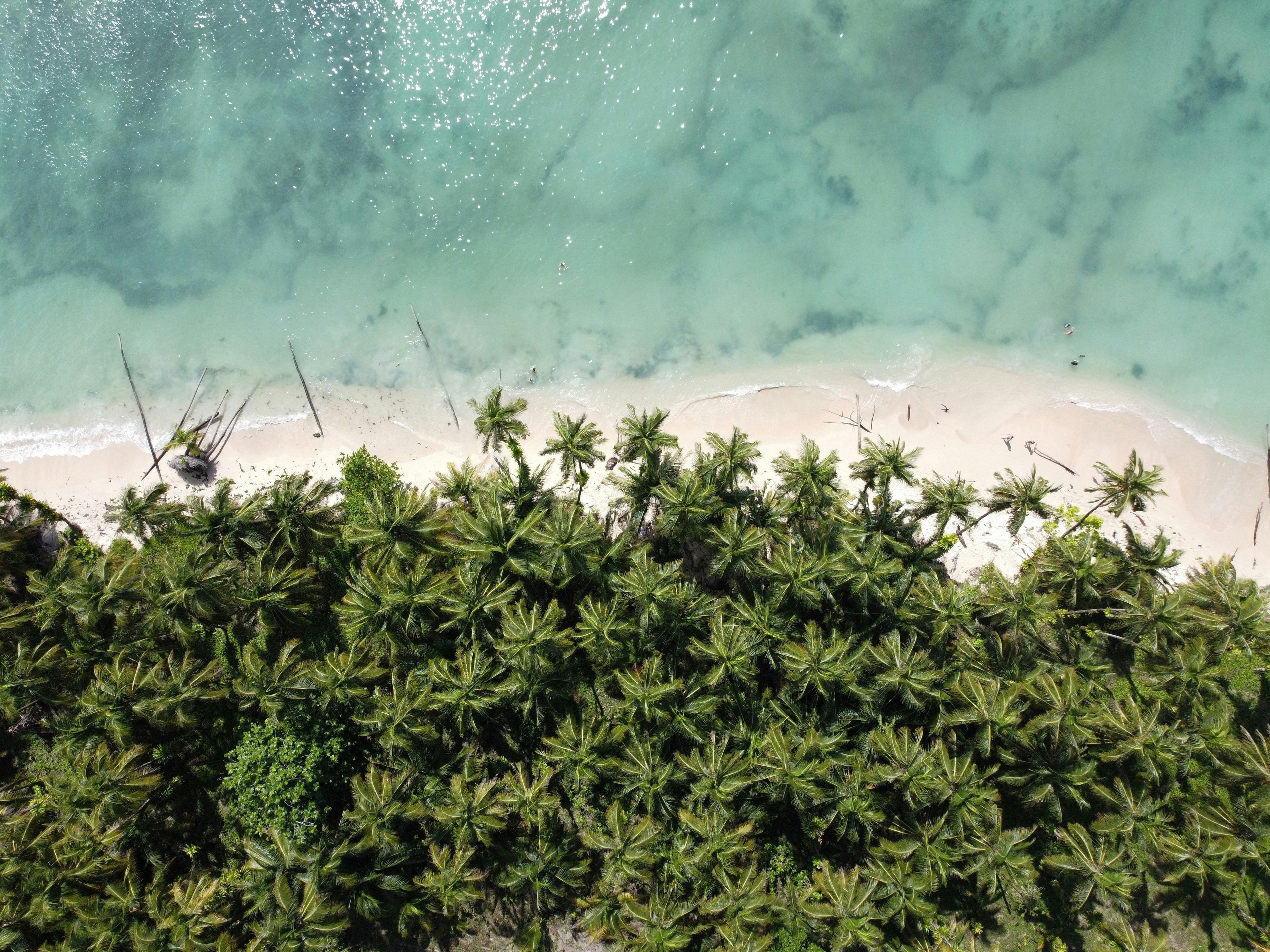 Beach zapatilla island